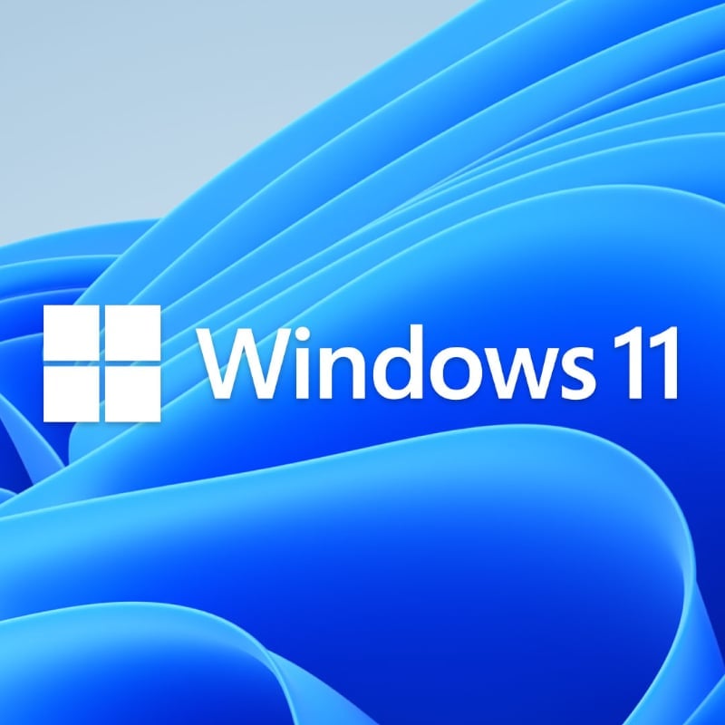 Windows 11